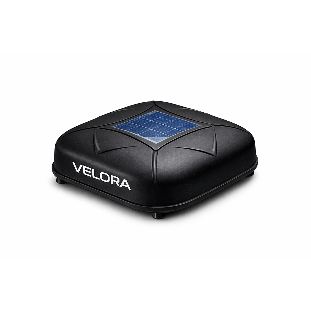 Rovera Preta - foto exclusiva